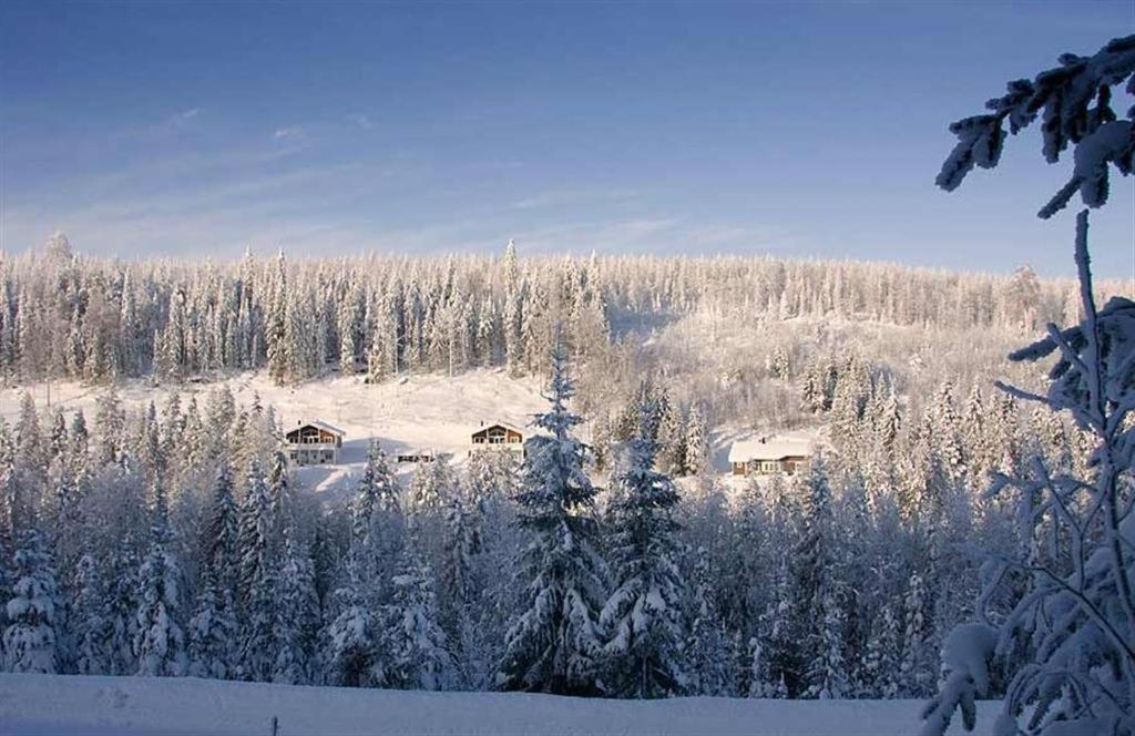 Karkutahko Villas Ruokonen Esterno foto