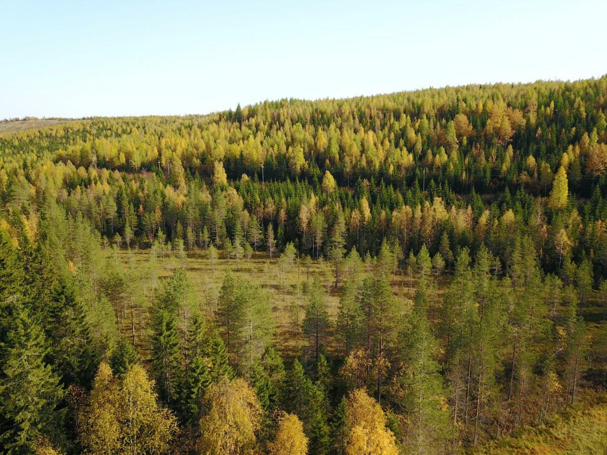 Karkutahko Villas Ruokonen Esterno foto